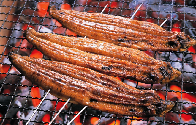 うなぎの蒲焼き